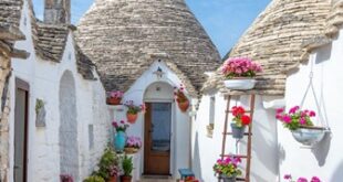 توصیف منظره انگلیسی